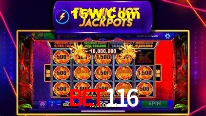 Interface moderna da plataforma Bet116